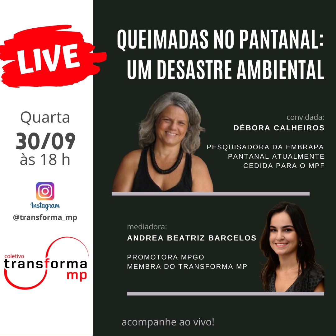 Live:  “Queimadas no Pantanal: um desastre ambiental”